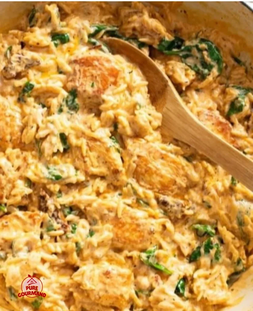 Delicious Marry Me Chicken Orzo served in a bowl with fresh herbs and vegetables