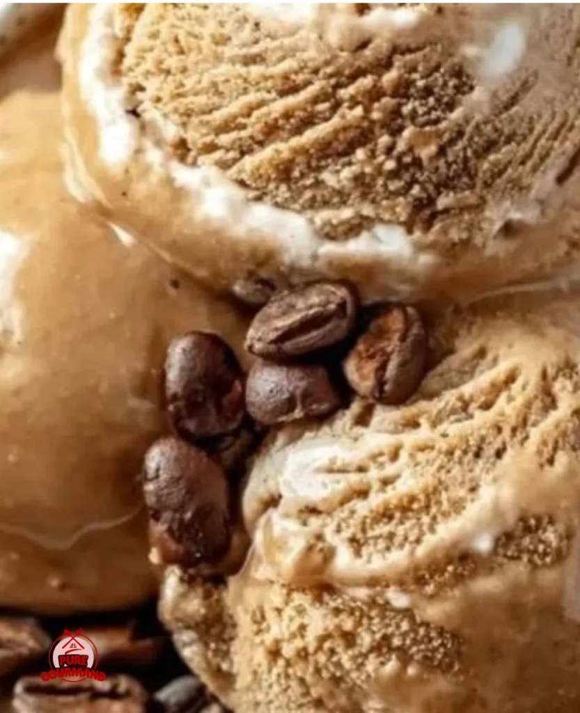 Cold brew coffee coconut milk ice cream in a bowl topped with coconut flakes.
